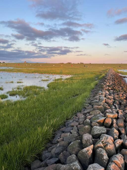 Nordseetraum - Ferienhaus Wolke Friedrichskoog Kültér fotó